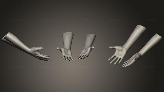 Anatomy of skeletons and skulls (Female Hands 11, ANTM_0481) 3D models for cnc